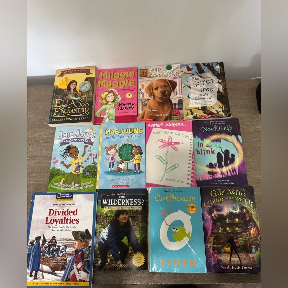 Children's Book Collection - 12 Books